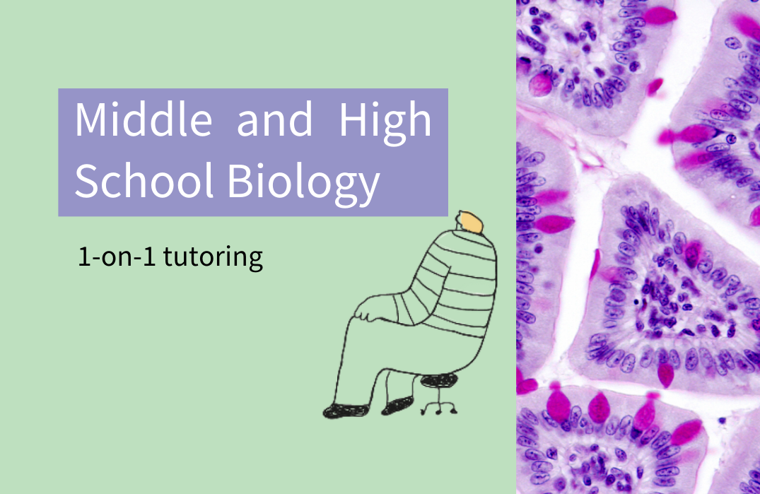 1-On-1 Middle and High School Biology Tutoring (Ongoing)