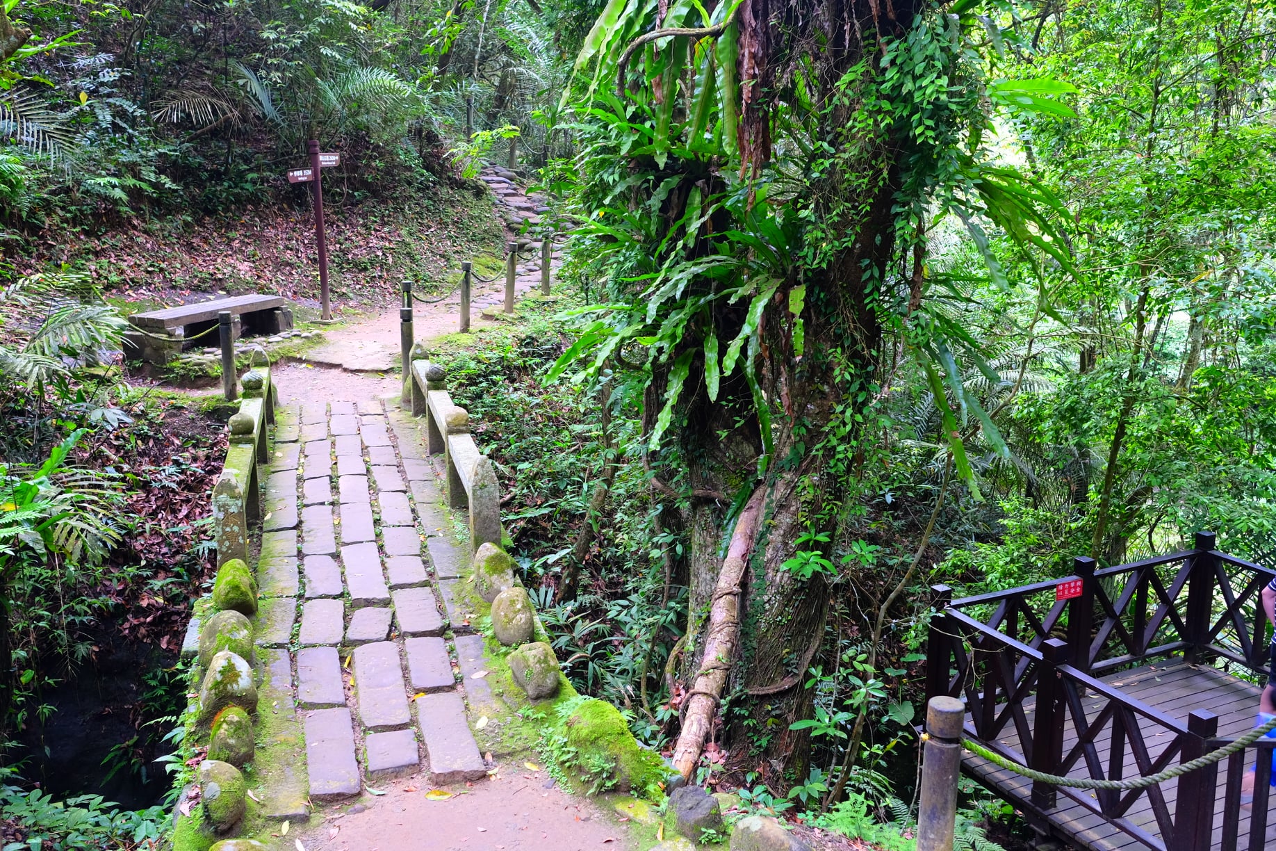 Travel with the photographer- Lion's Head Mountain Taiwan