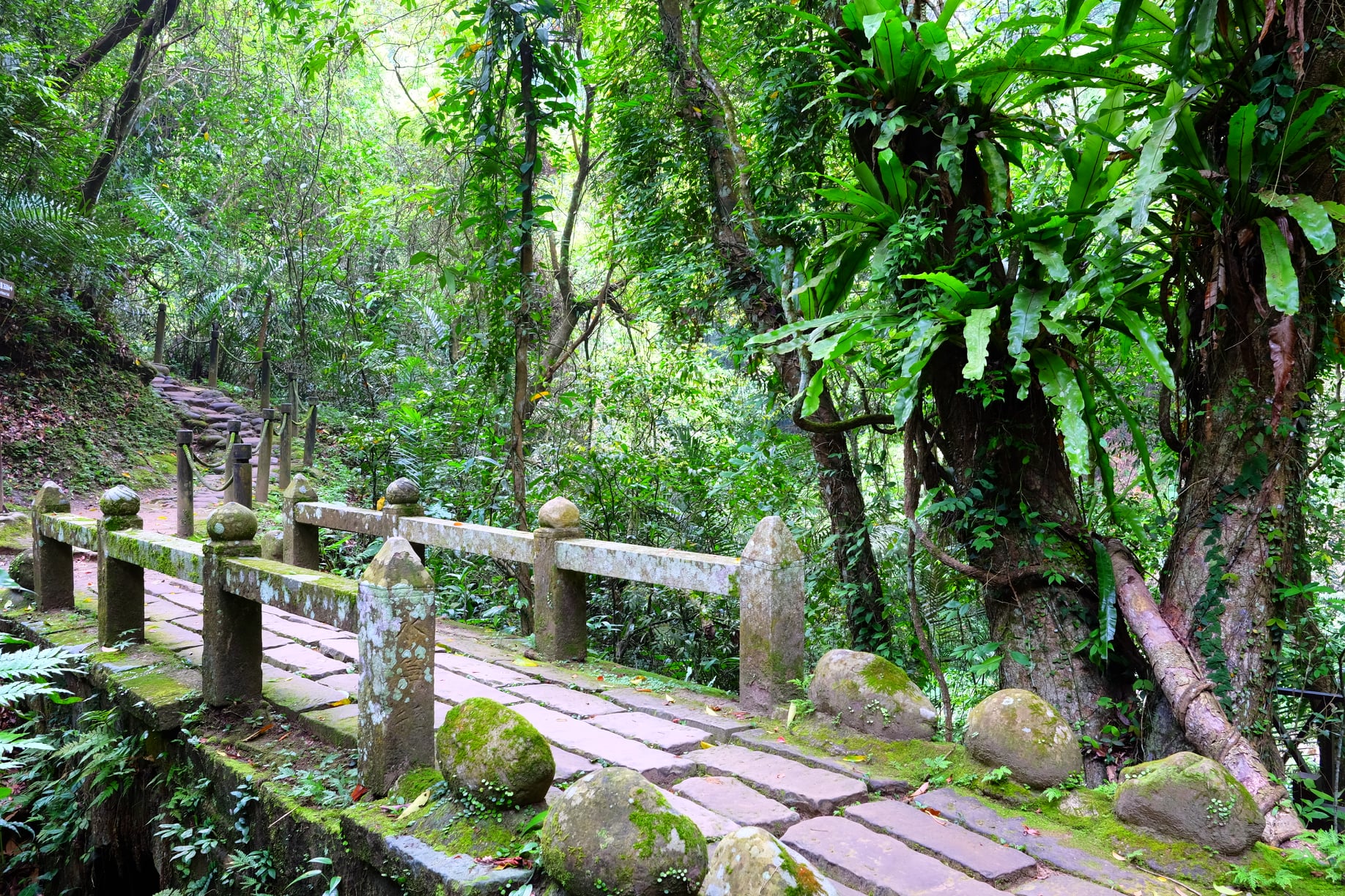 Glutinous Rice Bridge- Lion's Head Mountain Taiwan