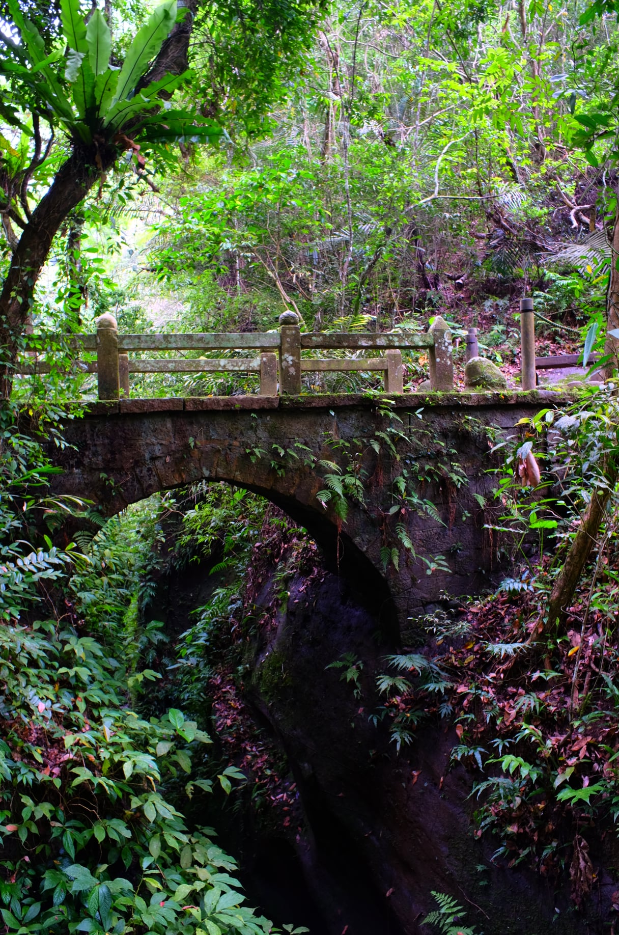 Travel with the photographer- Lion's Head Mountain Taiwan