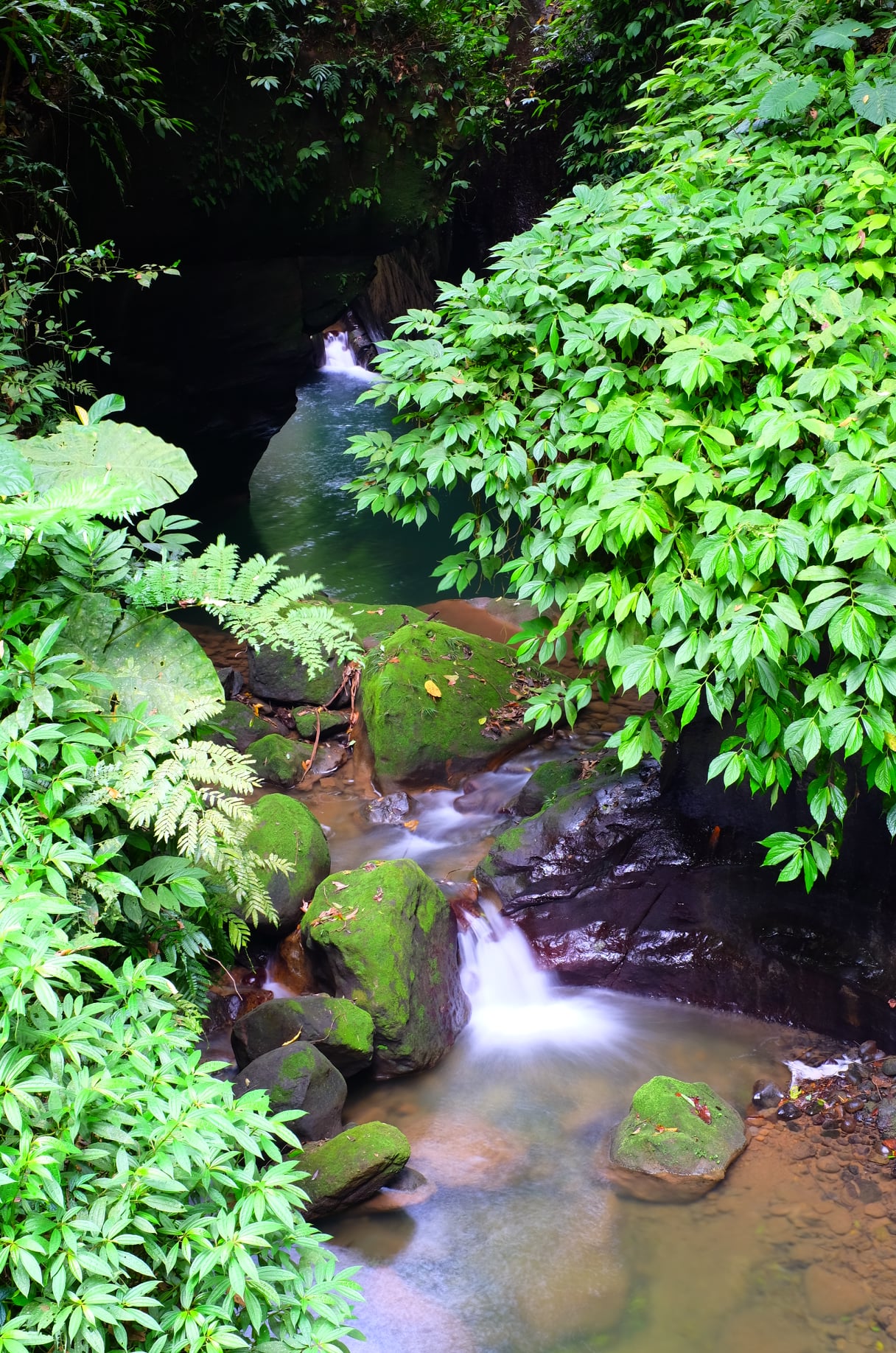 Pot Hole- Lion's Head Mountain Taiwan