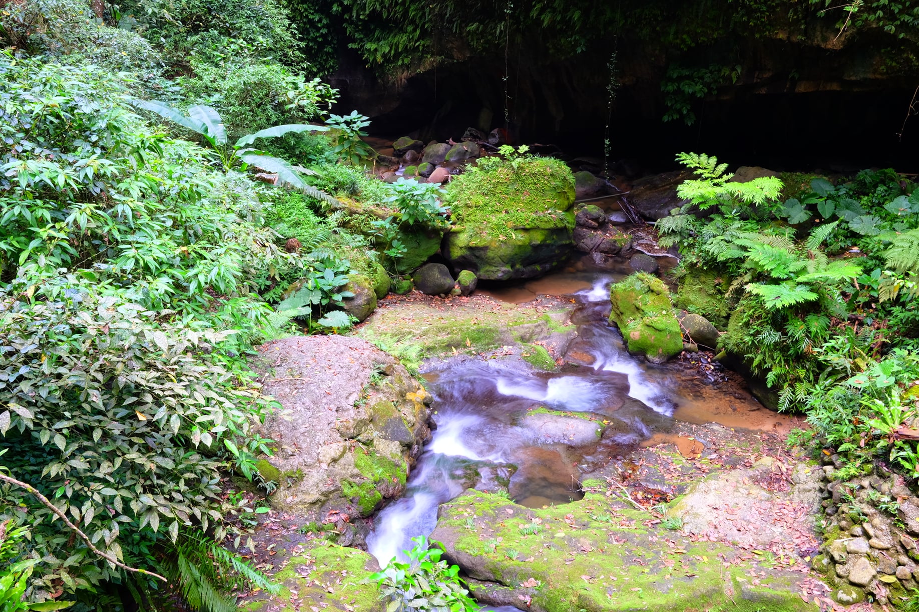 Pot Hole- Lion's Head Mountain Taiwan